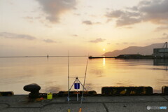 夜明けの港内で釣り、何が釣れるか？