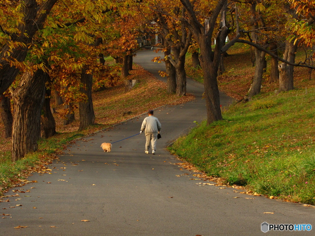 公園内を、お散歩。