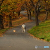 公園内を、お散歩。