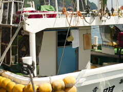 生活感