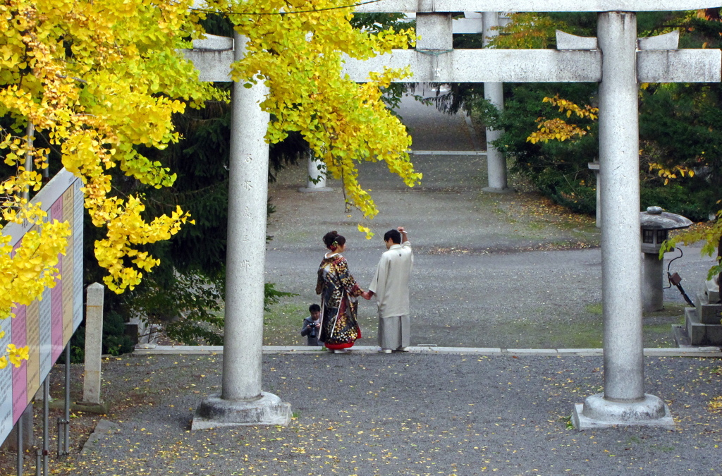 多分、尻に惹かれるな。