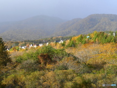 住宅地にも晩秋の色濃く