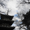 DSCN0910