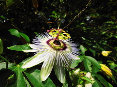 DSCN1164