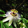 DSCN1164