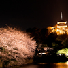 夜桜3