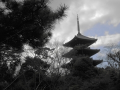 DSCN0872
