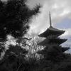 DSCN0872