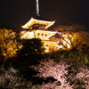 夜桜7