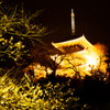 夜桜4