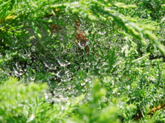 DSCN1103