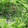 DSCN1103