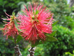 DSCN1052
