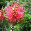 DSCN1052