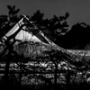 屋根