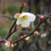 DSCN0886