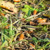 P1010145