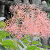 DSCN1172