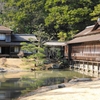 DSCN0954