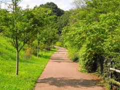DSCN1179