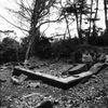 DSCN0921