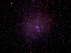 NGC2264
