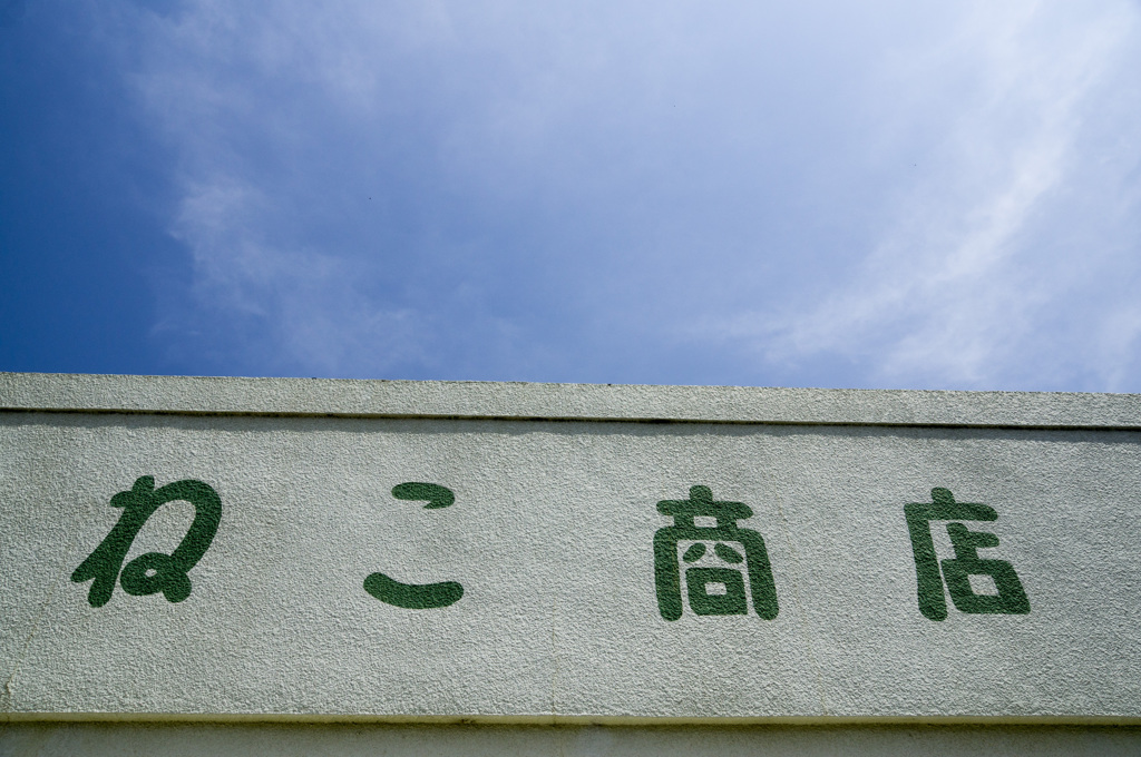 猫は売っていません