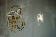 Deard BUENA VISTA