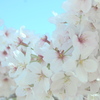 夢見心地
