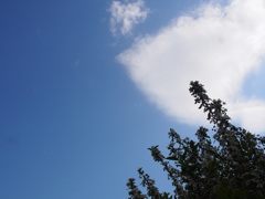 思う