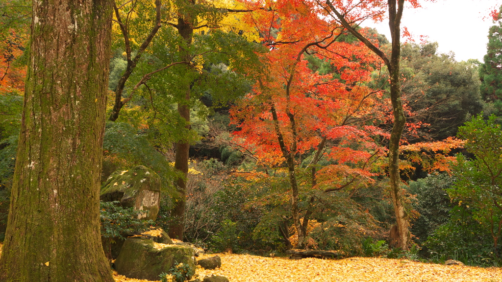 清水寺にて（その1）