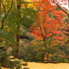 清水寺にて（その1）