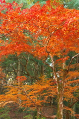 西渓公園にて1