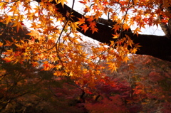 御船山楽園その2