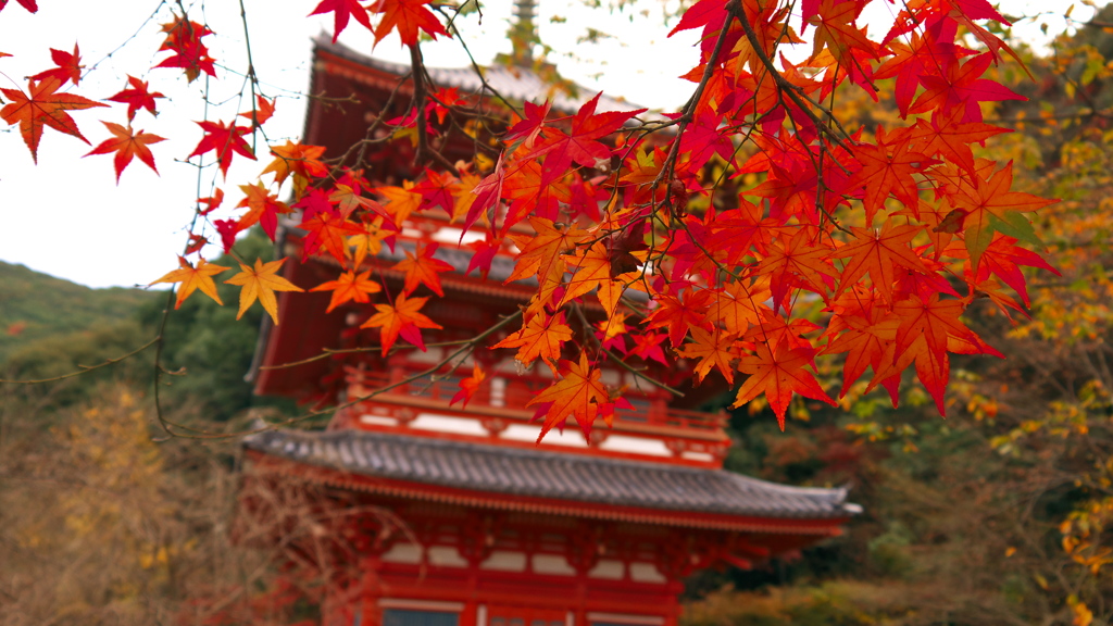 清水寺にて（その3）