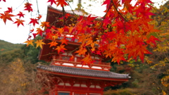 清水寺にて（その3）
