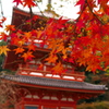 清水寺にて（その3）
