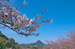 佐世保の千尽公園にて