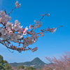 佐世保の千尽公園にて