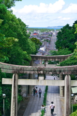 宮地嶽神社菖蒲まつり5