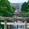 宮地嶽神社菖蒲まつり5