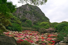 御船山楽園つつじ