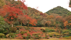 清水寺にて（その2）