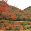 清水寺にて（その2）