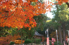 西渓公園にて3