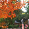 西渓公園にて3