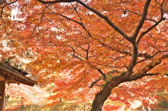 西渓公園にて2