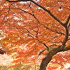 西渓公園にて2