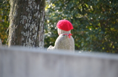 見つめているもの