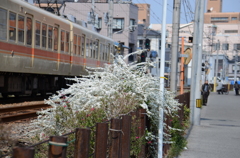 もう春は目の前